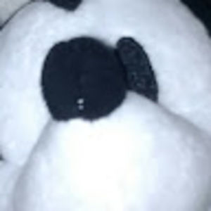 Meet your Posher, Oreoz